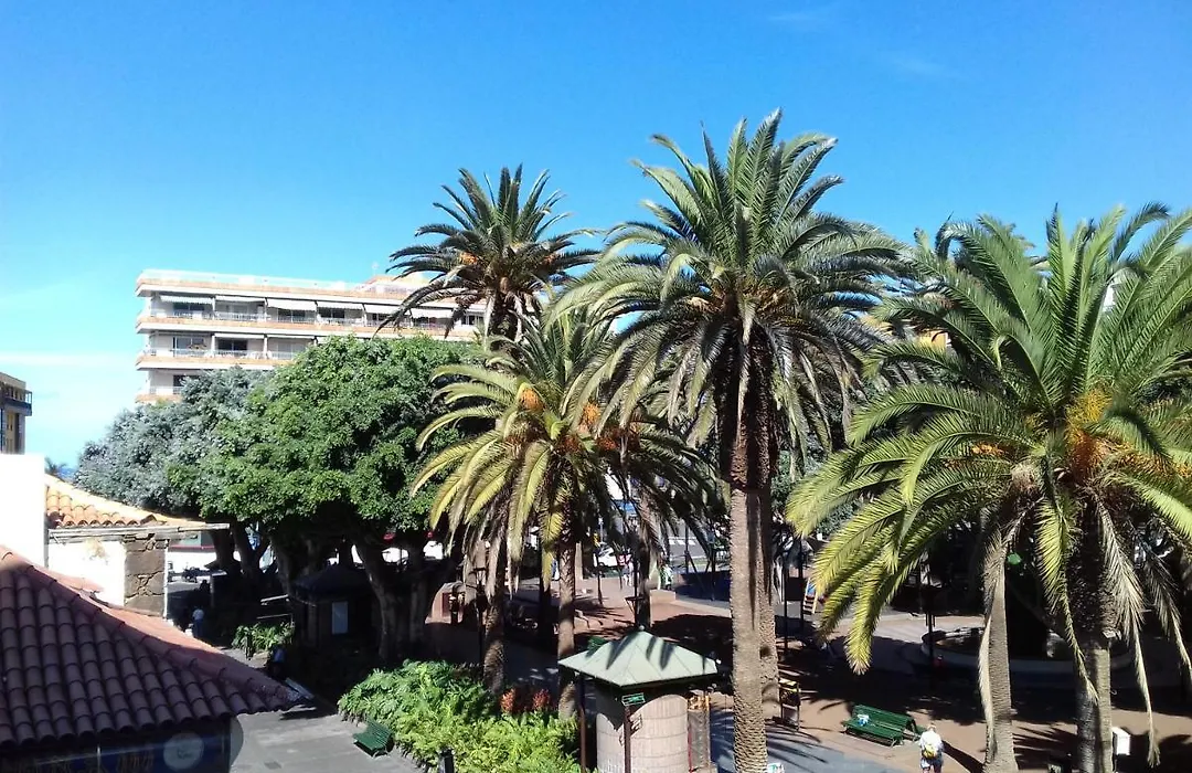 Hotel Tropical-1