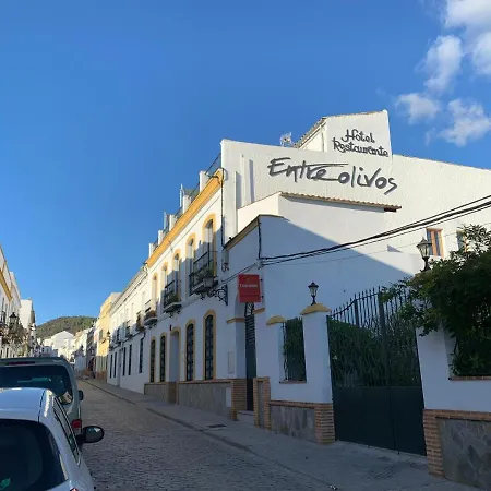 Hotel Entreolivos-3