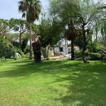 Finca Filpi-2