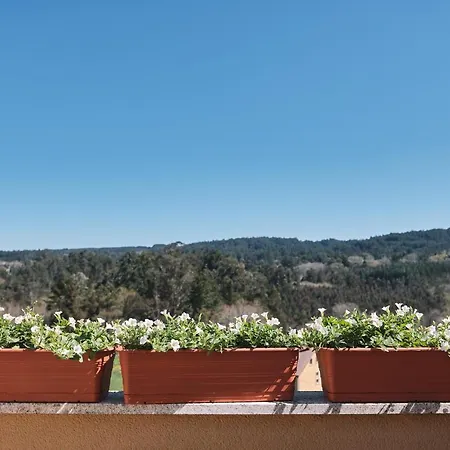 Pensión A Solaina 3-2