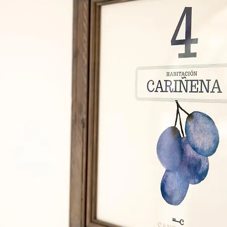 Hotel Boutique Canelobre-2