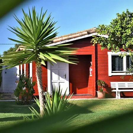 Kontiki Bungalows El Palmar-3