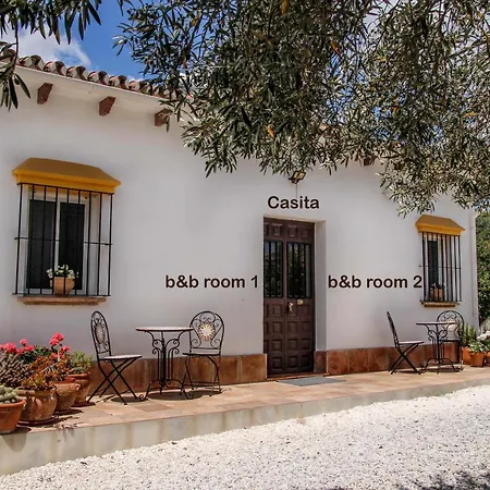 Finca El Limonar-3