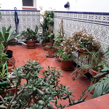 Sotel Valle Guadiaro-2