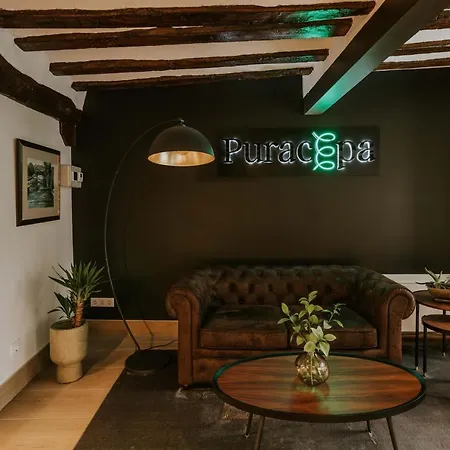 Puracepa - Urban Suites-3