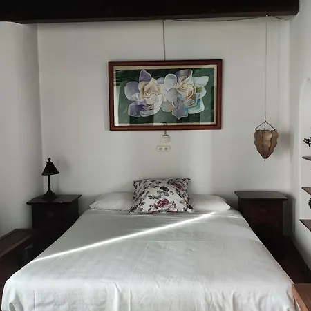 Casa del Arte-2
