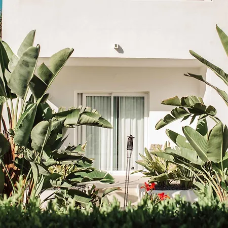 Hotel Boutique & Spa Las Mimosas Ibiza (Adults Only)-2