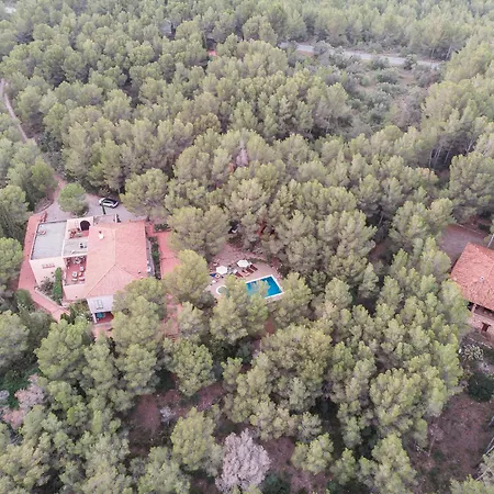 Aldeamia, Forest, Mountain View, Beach At 8 Min-3