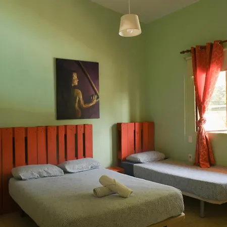 Lagarto Hostel Tenerife-3