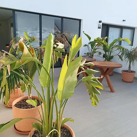 Hotel Apartamentos Hamus-2