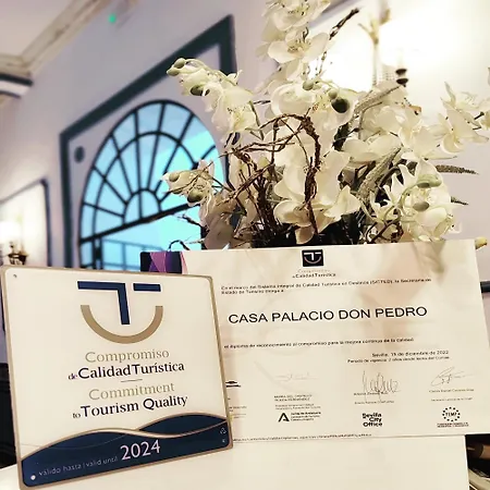 Casa Palacio Don Pedro-3