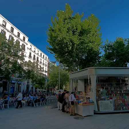 Gran Versalles-3