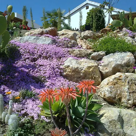Bed&Breakfast | Guest House Casa Don Carlos-3