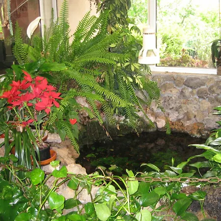 Hotel Camargo-2