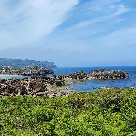 Pensión Dorada-2