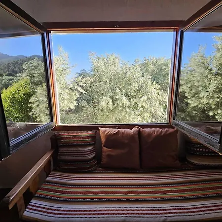 Cortijo del Cura By Travel Home-2
