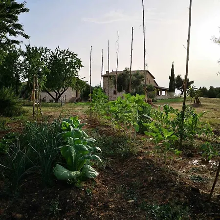 Casa rural restaurante Mas Del Rei-2