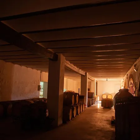 Hotel Bodega Vera De Estenas-3