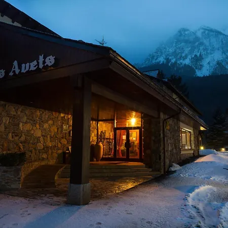 Hotel Els Avets-3