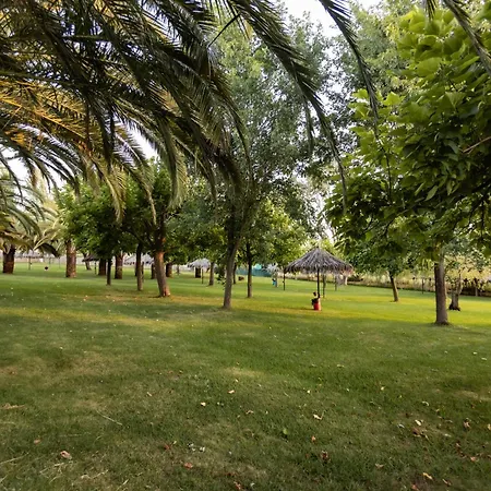 Hostal - Bungalows Camping Caceres-3