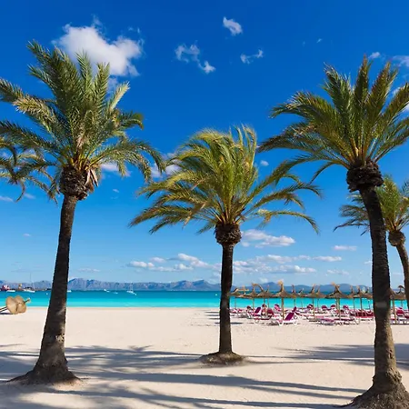 Alcudia Garden Aparthotel-3