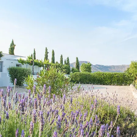 Boutique Bed & Breakfast Casa Paco - Adults Only-3