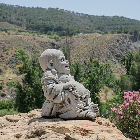 El bufon de la corte-2