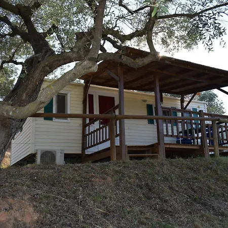 Camping Terra Alta-2