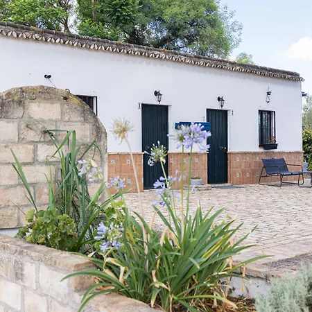 Casa los Laureles-2