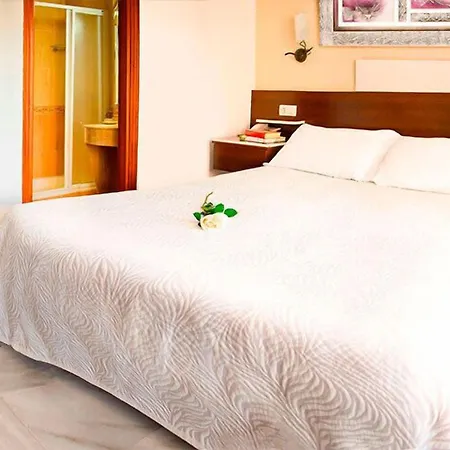 Hotel Albero-2