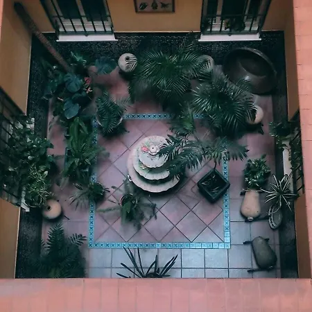 Adriano Boutique Sevilla-3