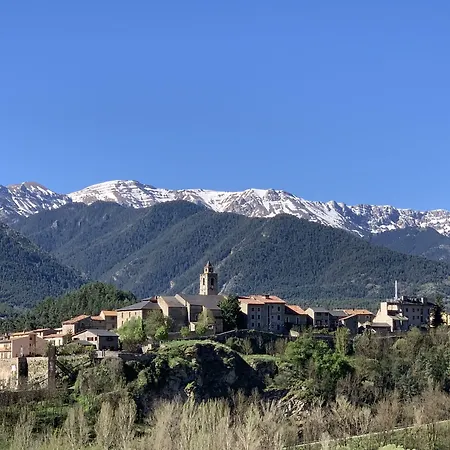 Fonda Biayna-2