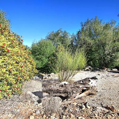 Casas Rurales Los Algarrobales-2