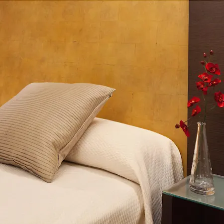 Hotel Madrid Torrejon Plaza-2