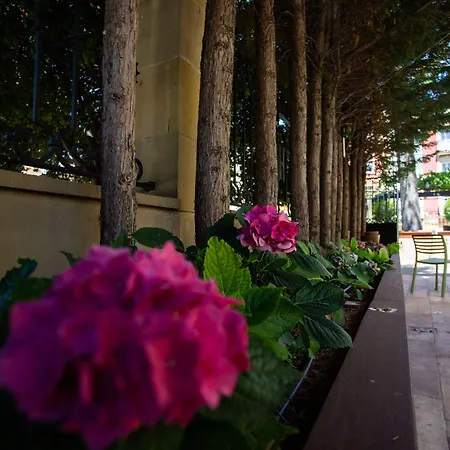 Hotel Arrope-3