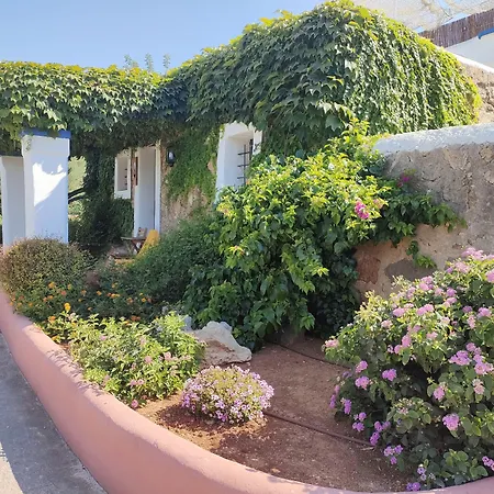 Agroturismo Can Marquet - Adults Only-3