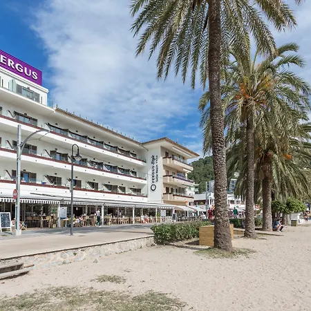 FERGUS Style Soller Beach-2