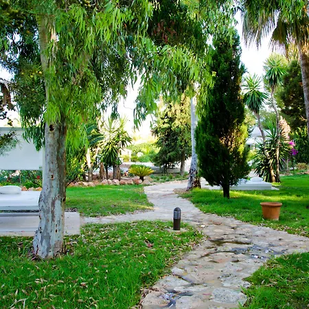 Paraíso de los Pinos-3