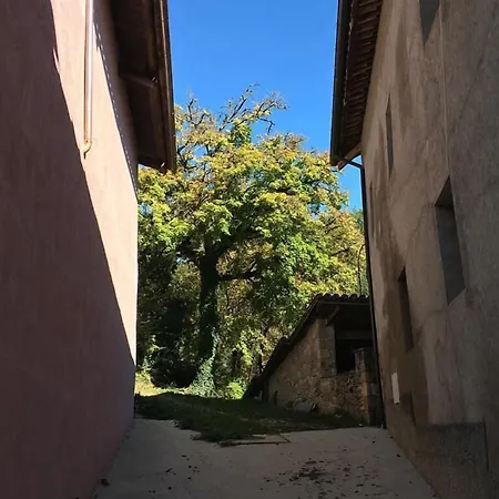 Monegal-3
