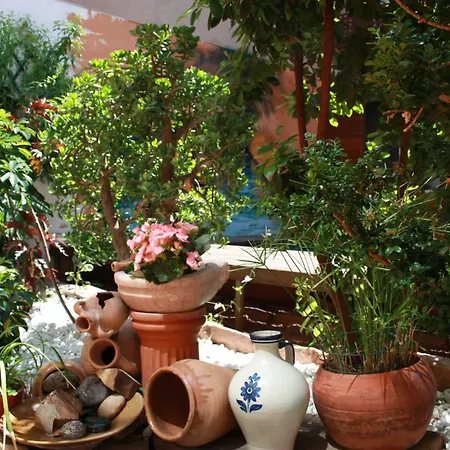 B&B "Domus Atilia"-3