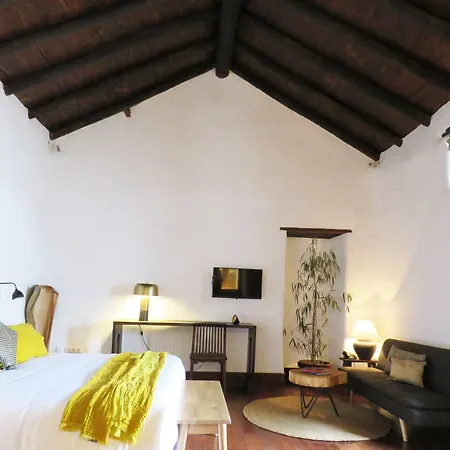 Hotel Boutique Gastronomico Palacio Ico (Adults Only)-3
