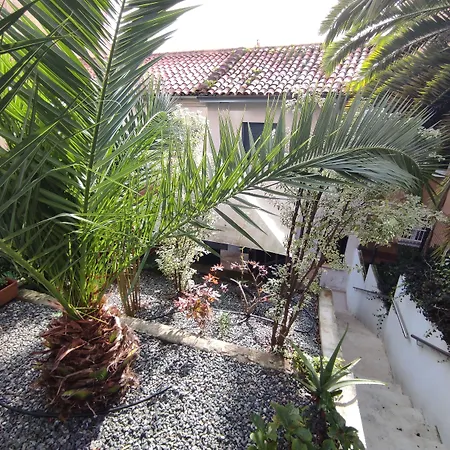 Pensión Los Patios de Santander-2