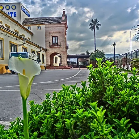 Hotel Lozano-3