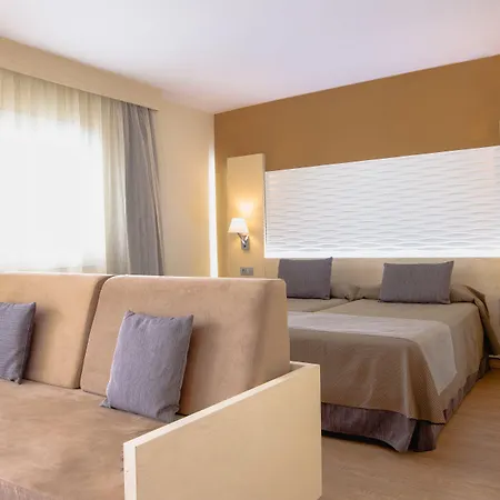 Hl Suite Nardos - Only Adults-3
