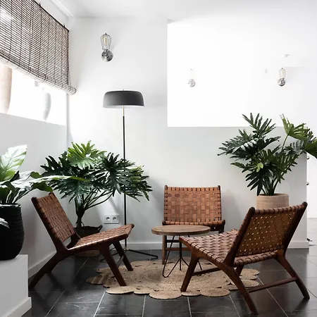 Terreno Suites-3
