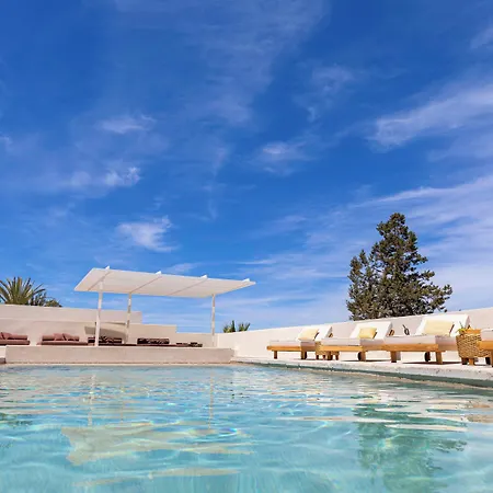 Boutique Hotel Jardines De Palerm-3