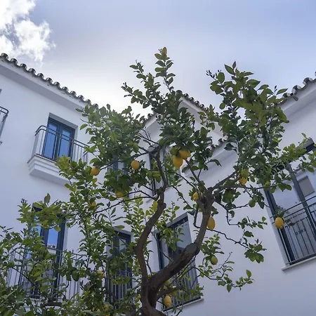 Opuntia Hotel Boutique-2