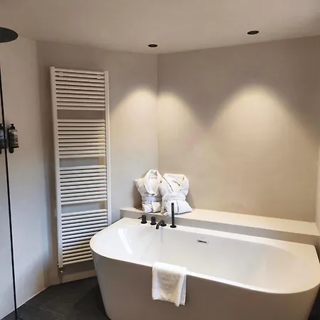 Sommos Hotel Benasque Spa-3