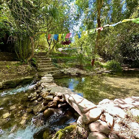 Cinco Lunas VEGETARIAN Guesthouse-2