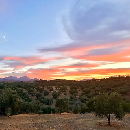 Hacienda El Tarajal-2